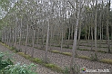 VBS_7859 - Là, dove finisce la strada, comincia un mondo